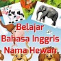 Nama Hewan Berawalan Huruf I Dalam Bahasa Inggris